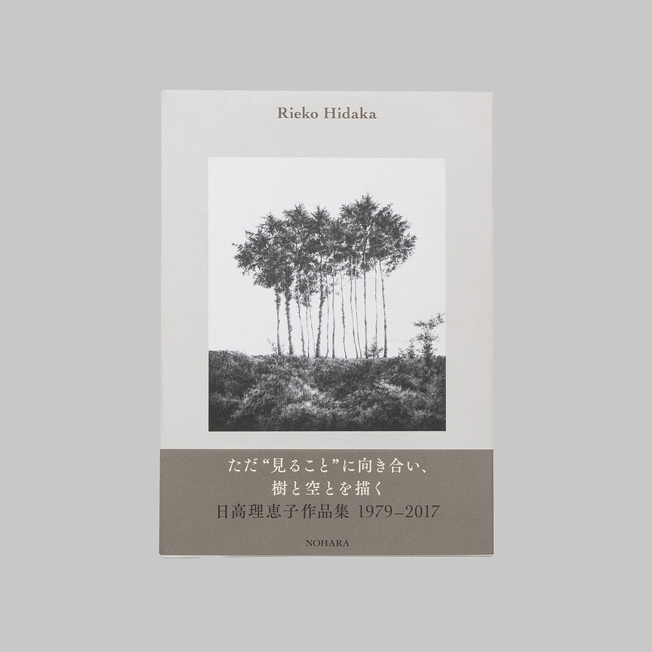 RIEKO HIDAKA / 日高理恵子