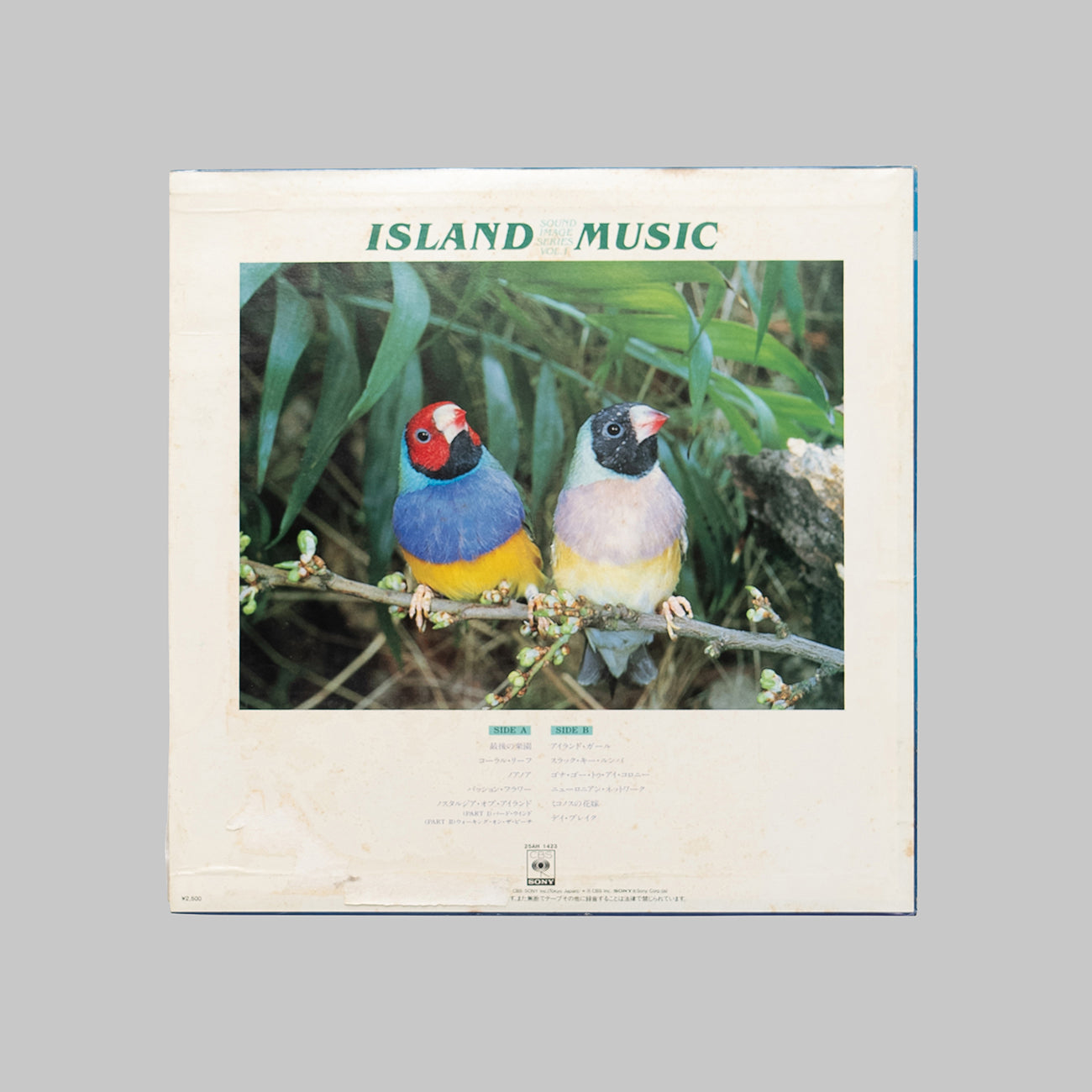 V.A / ISLAND MUSIC