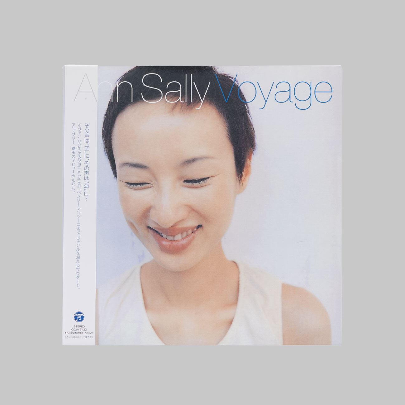 Voyage