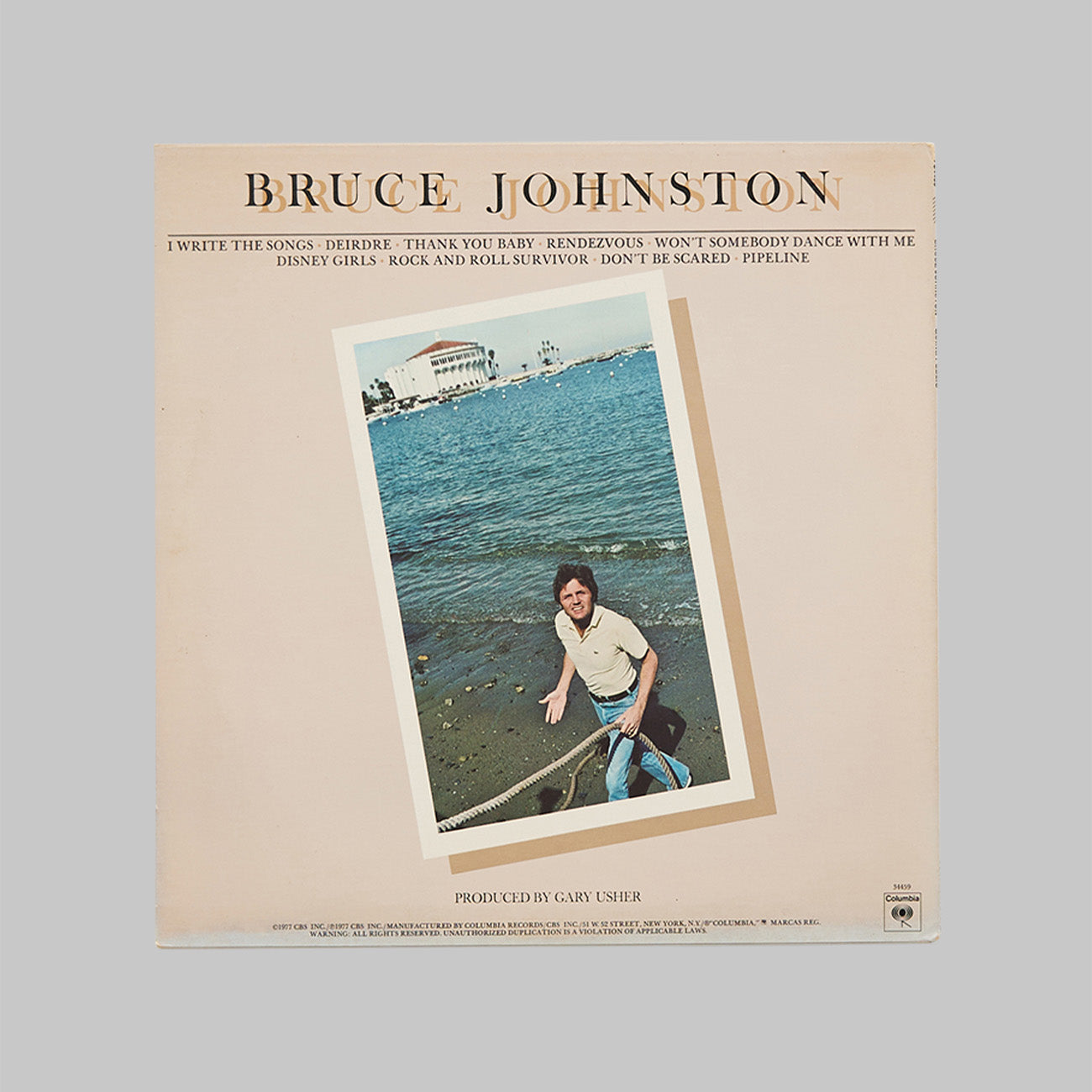 BRUCE JOHNSTON / GOING PUBLIC
